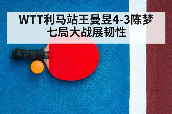 ping pong racket